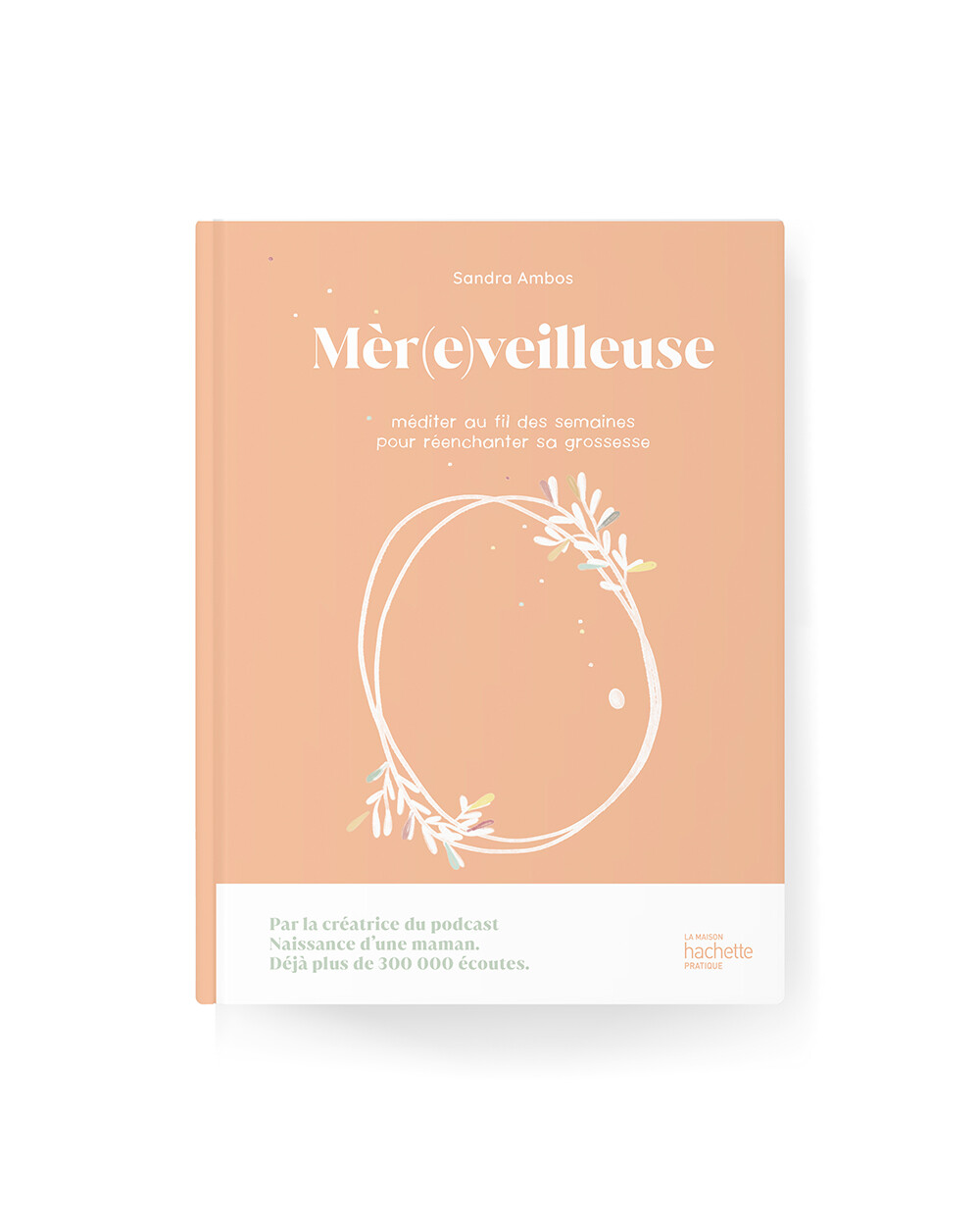 Guide de grossesse Ilado (ILADO) - Image 1