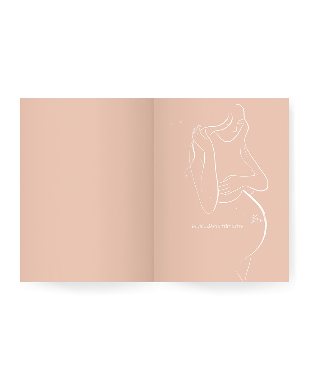Guide de grossesse Ilado (ILADO) - Image 2