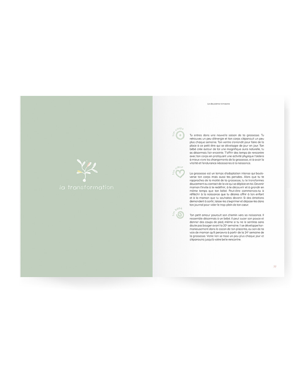 Guide de grossesse Ilado (ILADO) - Image 3