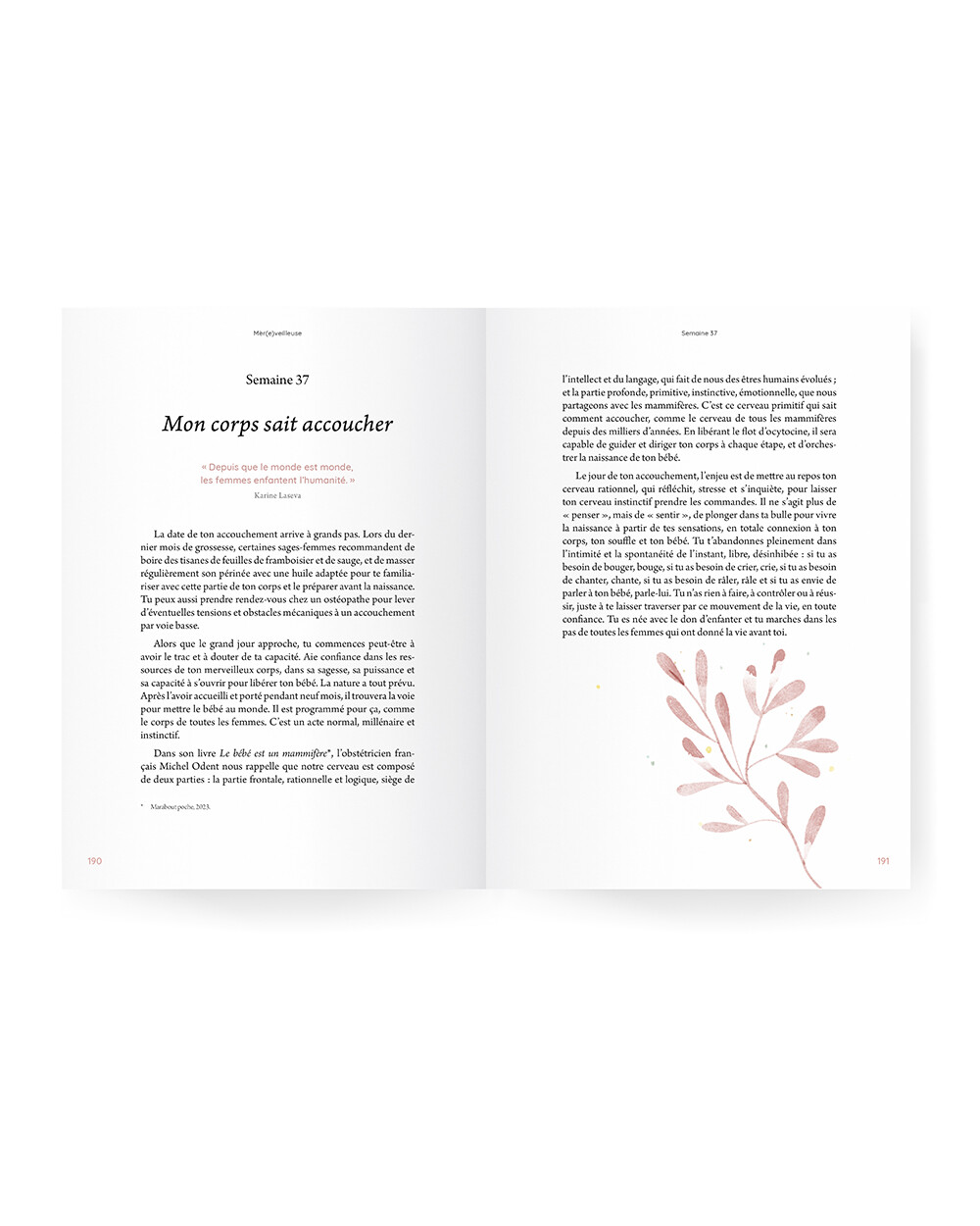 Guide de grossesse Ilado (ILADO) - Image 4